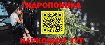 бошки Дубна