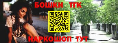 бошки Дубна