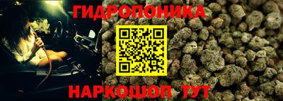 эйфоретик Донецк