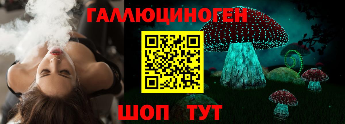 Псилоцибиновые грибы мицелий Киров